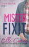 [Love in New York 03] • Mister Fixit